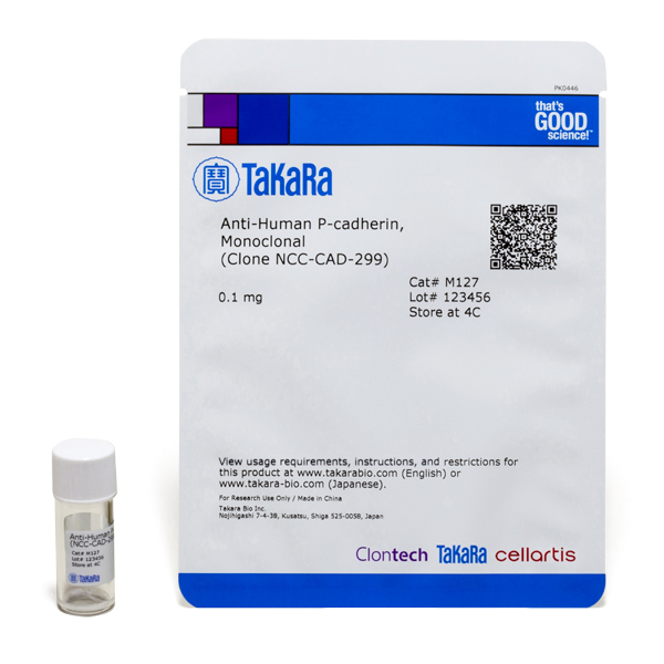 M127: Anti-Human P-cadherin, Monoclonal (Clone NCC-CAD-299)