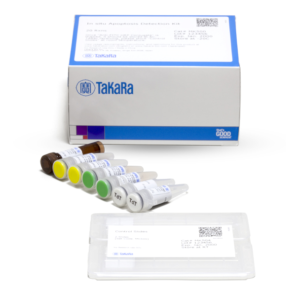 MK500: In Situ Apoptosis Detection Kit