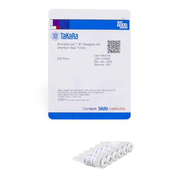 RR037A: PrimeScript RT Reagent Kit (Perfect Real Time)