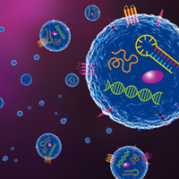 Capturem extracellular vesicle isolation