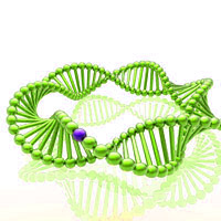 Diversify PCR Random Mutagenesis Kit for sequence mutations