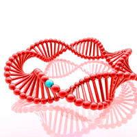 Restriction enzymes