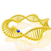 A fosfatase alcalina intestinal de bezerro (CIAP) catalisa a hidrólise de terminais 5'-fosfato de DNA, RNA, dNTPs e rNTPs.