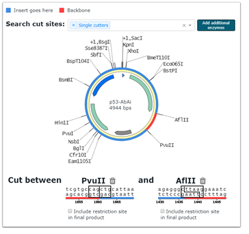 Selected restriction enzymes view