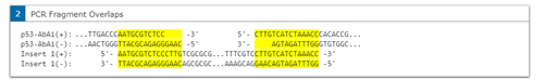 PCR Fragment Overlaps view