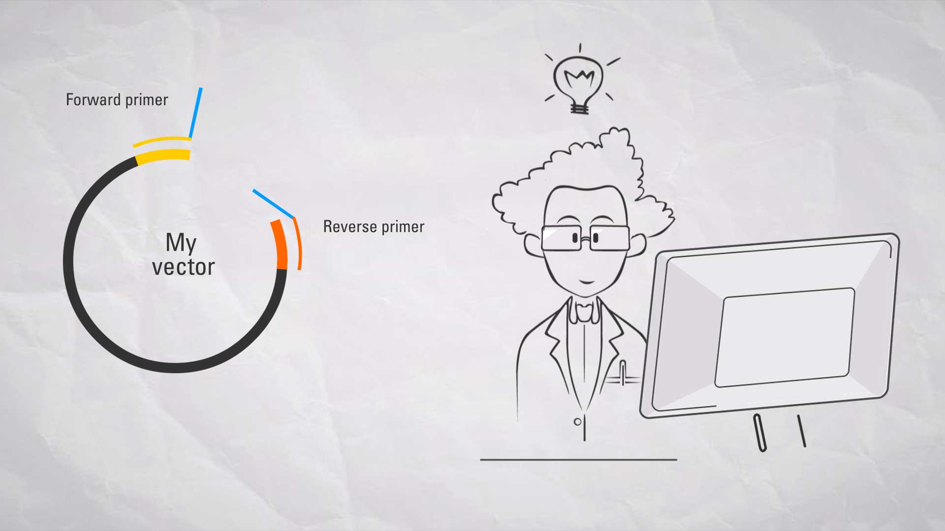 Comparison of In-Fusion Snap Assembly and GeneArt Gibson ...