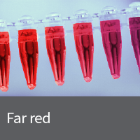 Far red