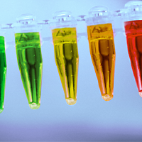 Fluorescent protein products