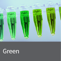 Cyan and Green Fluorescent Proteins