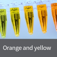 Orange and yellow fluorescent protein plasmids