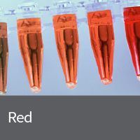 Red fluorescent protein plasmids