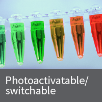 Plasmids encoding photoactivatable and photoswitchable proteins
