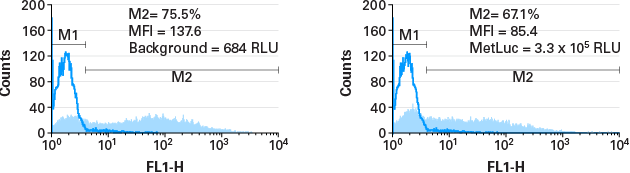 Very high infection efficiencies can be achieved in hard-to-transfect cells