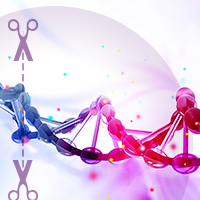 CRISPR tools and sgRNA design