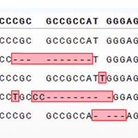 Gene function learning center