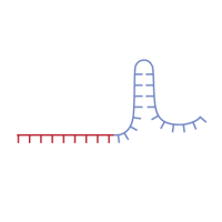 crispr cas9 presentation