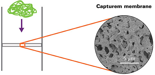 Image detailing the interior of a Capturem high-capacity nylon membrane.