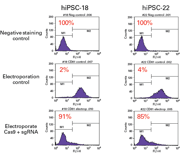 Knock out of CD81 in pluoripotent stem cells
