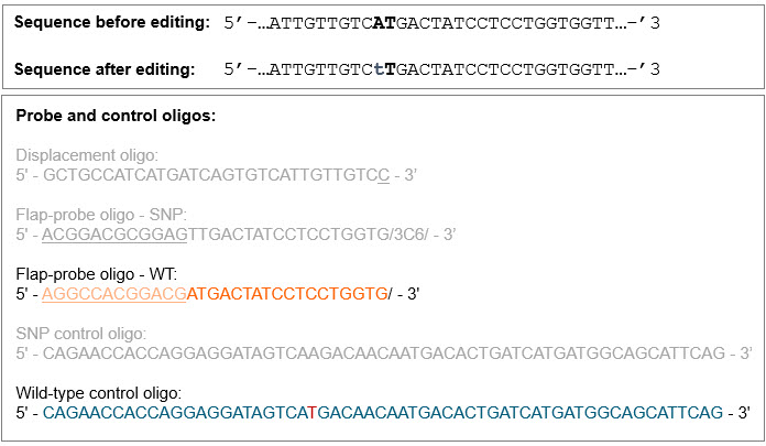 Oligo tool results after the second step