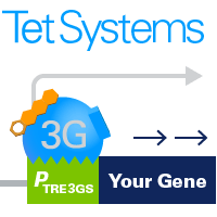 Ready-made cell lines expressiong the Tet-On 3G tetracycline transactivator