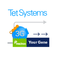 Vector systems and cell lines for inducible expression using the Tet-On 3G transactivator