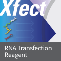 Xfect RNA Transfection Reagent