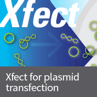 High transfection efficiency and a simple protocol