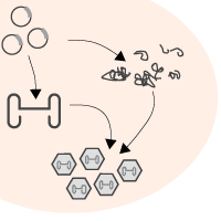 Overview of recombinant adeno-associated virus