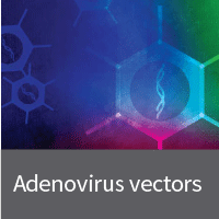 Tetracycline inducible adenovirus system