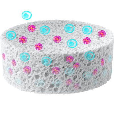 Lenti-X transduction sponge