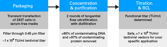 Process for generating high-titer lentiviral particles