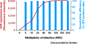 Transduction efficiency of GFP-expressing lentiviral particles