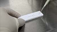 Applying lentiviral supernatants