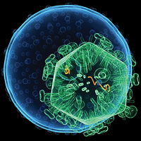 HIV research