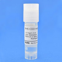 anti-cd3 antibody