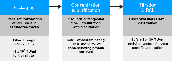 Generation of Flash Therapeutics lentiviral particles