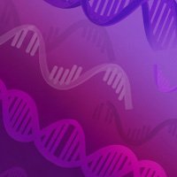 Learn more about our SMARTer RNA-seq kits