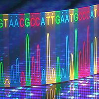 NGS DNA-seq