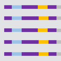 Using UMTs in NGS experiments