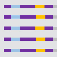 Using UMTs in NGS experiments