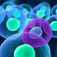 Single cell analysis