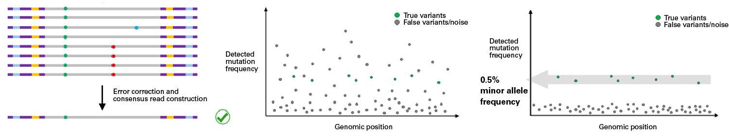 ThruPLEX HV molecular tags