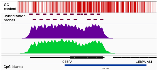 even coverage of gene known for high GC content