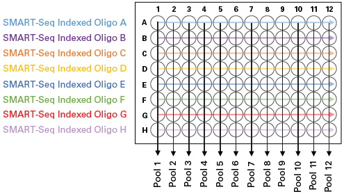 SMARTer Human scTCR a/b Profiling Kit workflow and pooling strategy