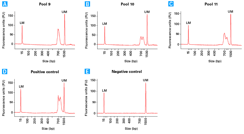 Electropherogram profiles of TCR sequencing libraries