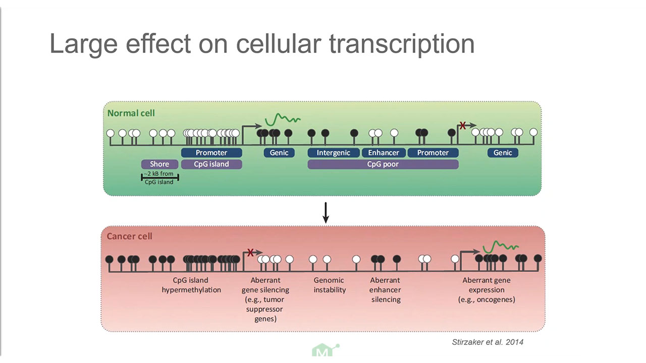 Webinar: detection of genomewide DNA methylation