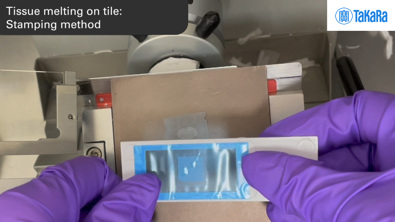 Tissue melting on tile: Stamping method