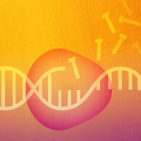 Enzyme samples