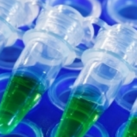 Dye-added PCR master mixes