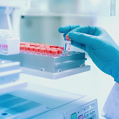 PCR enzymes